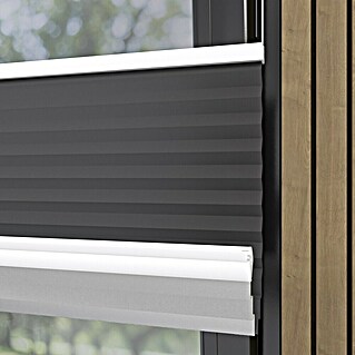 Plisirano senčilo Basic VS Thermo (Š x V: 60 x 130 cm, Zatemnitveno)