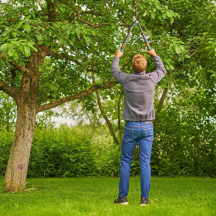 Gardena Škare za grane TeleCut Pro S  (Maksimalna debljina grane: 50 mm) | BAUHAUS