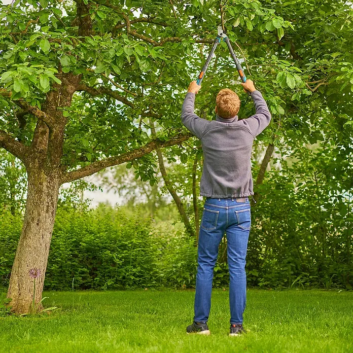 Gardena Astschere TeleCut Pro S - Max. Aststärke: 50 mm - Mann beschneidet Baum mit einer Gartenschere. Das Werkzeug ist ideal, um Äste in großer Höhe zu schneiden.