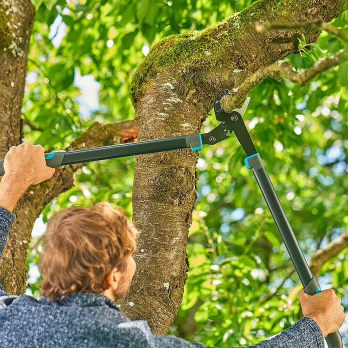 Gardena EnergyCut Astschere Pro L - Schneidsystem Gartenschere: Amboss, Max. Aststärke: 50 mm - Eine Person benutzt eine Gardena Astschere, um einen Ast an einem Baum zu schneiden. Das Werkzeug hat lange Griffe für hohe Reichweite.