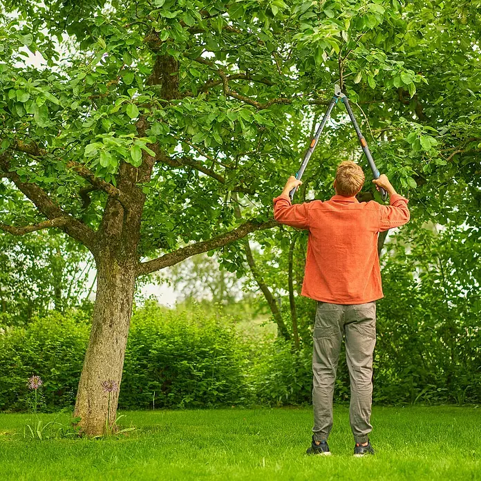 Gardena Astschere TeleCut Pro L - Max. Aststärke: 50 mm - Mann beschneidet Baum mit einer Gartenschere.