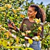 Gardena Gartenschere PremiumCut Flex 