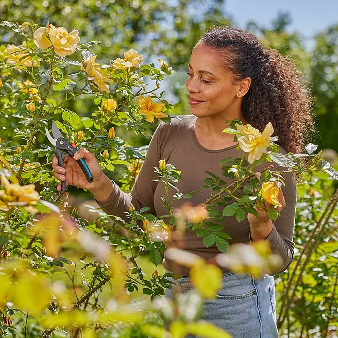 Gardena Gartenschere PremiumCut Flex - Max. Aststärke: 24 mm - Eine Frau mit einer Gartenschere von GARDENA, umgeben von gelben Rosen. Die Schere ist ideal für präzise Schnitte in Ihrem Garten.