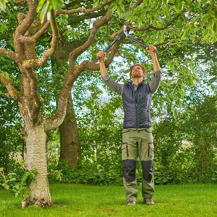 Gardena EnergyCut Škarje za veje Pro S  (Maksimalna debelina vej: 50 mm) | 7245 - Astscheren/Astsägen | IADA - Gartenhandgeräte | IAD - Gartenhandgeräte | IA - Gartenhartware | I - Stadtgarten | BAUHAUS