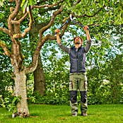 Gardena EnergyCut Škarje za veje Pro S  (Maksimalna debelina vej: 50 mm) | 7245 - Astscheren/Astsägen | IADA - Gartenhandgeräte | IAD - Gartenhandgeräte | IA - Gartenhartware | I - Stadtgarten | BAUHAUS