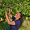 Gardena Gartenschere PremiumCut (Bypass, Max. Aststärke: 22 mm) | BAUHAUS