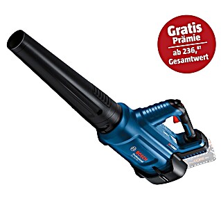 Bosch Professional AMPShare 18V Akku-Gebläse GBL 18V-750 (18 V, Ohne Akku, Blasgeschwindigkeit: 198 km/h)