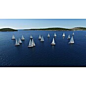 NAUTIC Lona acuática (260 g/m², 6 x 10 m)