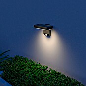 Calex Solar-wandlamp voor buiten (Zonnepaneel, 250 lm, Levensduur: 15.000 jaar) | BAUHAUS