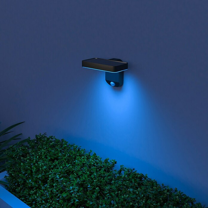 Calex Solar-wandlamp voor buiten (Zonnepaneel, 250 lm, Levensduur: 15.000 jaar) | BAUHAUS