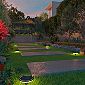 Calex Led-padverlichting voor buiten - Set van 3 (Hoogte: 23,4 cm, Lichtkleur: RGB) | BAUHAUS