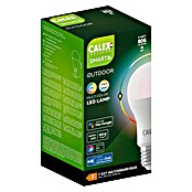 Calex Ledlichtbron Slimme BT Mesh LED Lamp (9,4 W, 806 lm) | BAUHAUS