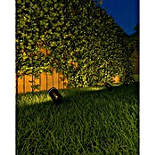Calex Grondspot Smart Home (IP54, 380 lm, Warm wit) | BAUHAUS