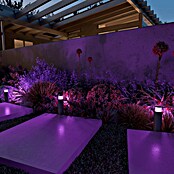 Calex Led-padverlichting voor buiten - Set van 3 (Hoogte: 41 cm, Lichtkleur: RGB) | BAUHAUS