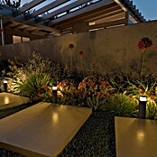 Calex Led-padverlichting voor buiten - Set van 3 (Hoogte: 41 cm, Lichtkleur: RGB) | BAUHAUS