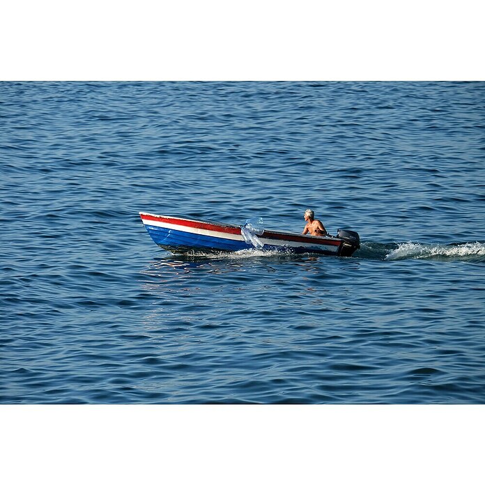 Parsun Motor fuera borda F2.6BMS 2,6HP (1,9 kW, Empuñadura del timón, Longitud de vástago: 38,1 cm, Puesta en marcha eléctrica)