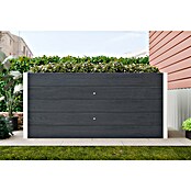 Visoka gredica  (160 x 75 x 70 cm, Kompozitni materijal) | BAUHAUS