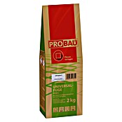 Probau Universele voeg (Zilvergrijs, 2 kg) | BAUHAUS