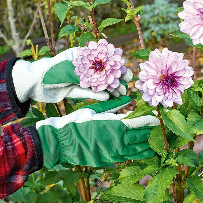 Gardol Gartenhandschuhe PflegeKonfektionsgröße: 8, Grün Unknown