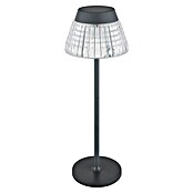 Globo Punjiva stolna svjetiljka Lora  (1 W, Promjer: 13,5 cm) | BAUHAUS