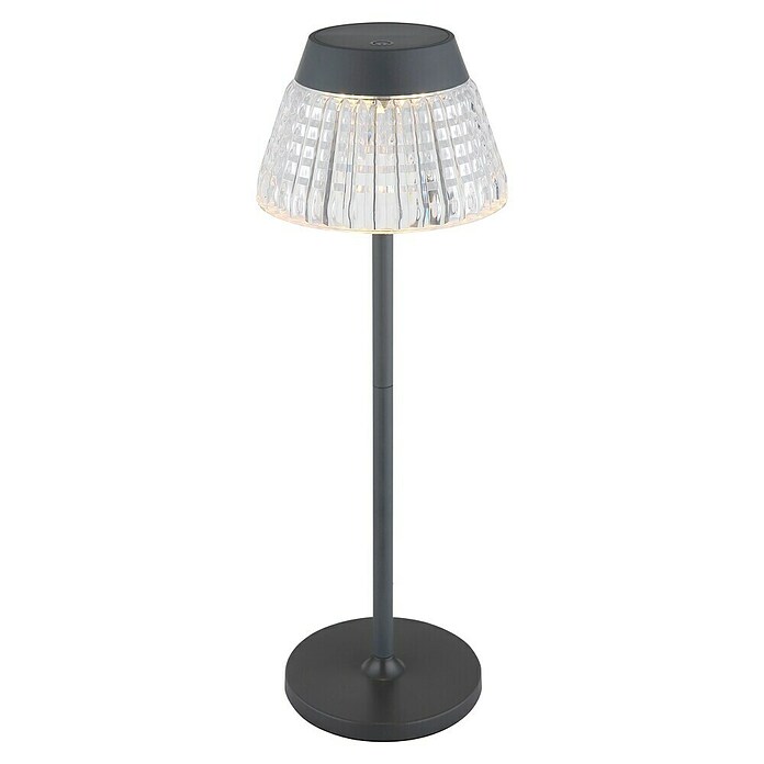 Globo Accu-tafellamp LORA (1 W, Zwart, Diameter: 13,5 cm) | BAUHAUS