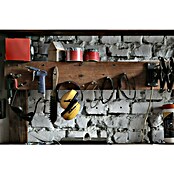 Caja de almacenaje y transporte (Largo: 100 cm, Rojo)