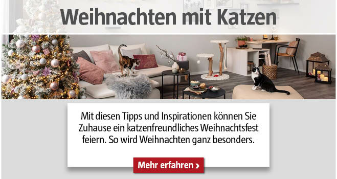 Weihnachten mit Katzen