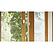 Osram Smart+ Pametna vtičnica Energy Meter  (Bela, Maksimalna priključna moč: 2.300 W) | 3458 - Smart Home | CBPA - Smart home | CBP - Smart home | CB - Elektroinstallation | C - Elektro | BAUHAUS