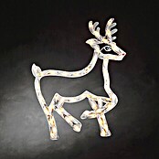 Konstsmide LED-Weihnachtsleuchte Rentier (Innen, 50-flammig, B x H: 40 x 50 cm, Warmweiß)
