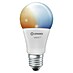 Ledvance Smart+ WiFi Smart-ledlamp 