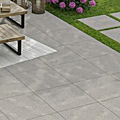 Terrassenfliese Garden Family Lightgrey (60 x 60 x 2 cm, Hellgrau, Matt) | BAUHAUS