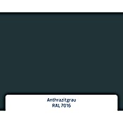 Hörmann EcoStar Haustür ISOPRO IP 780S (110 x 210 cm, DIN Anschlag: Links, Anthrazitgrau) | BAUHAUS