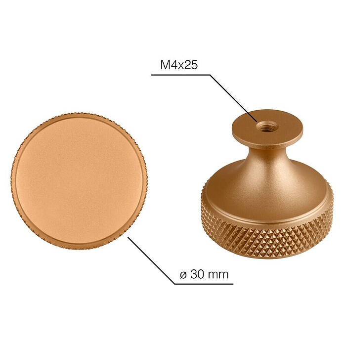 Walteco Meubelknop Dieren (Diameter: 30 mm, Aluminium, Goud) | BAUHAUS