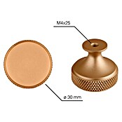 Walteco Meubelknop Dieren (Diameter: 30 mm, Aluminium, Goud) | BAUHAUS