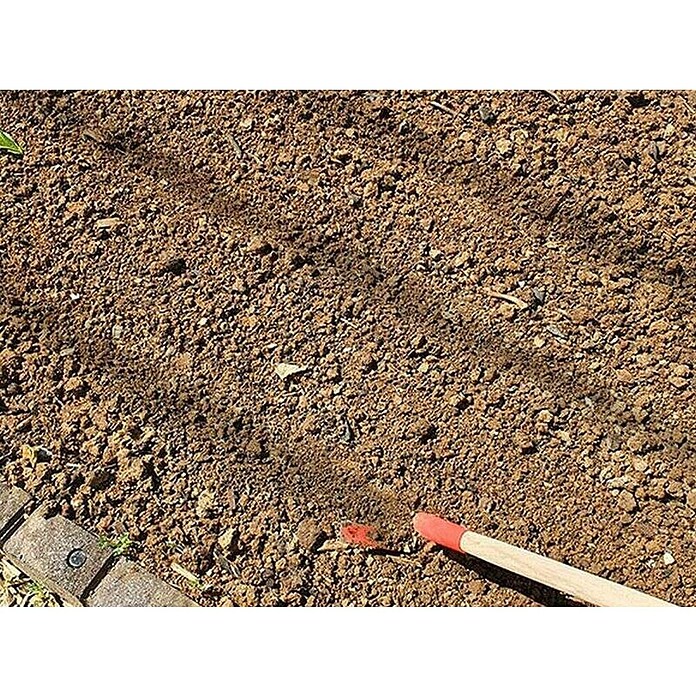 Ostra motika brez ročaja Anka  (Kovina, 12,5 cm) | 7240 - Geräte mit Stiel | IADA - Gartenhandgeräte | IAD - Gartenhandgeräte | IA - Gartenhartware | I - Stadtgarten | BAUHAUS