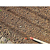 Ostra motika brez ročaja Anka  (Kovina, 12,5 cm) | 7240 - Geräte mit Stiel | IADA - Gartenhandgeräte | IAD - Gartenhandgeräte | IA - Gartenhartware | I - Stadtgarten | BAUHAUS