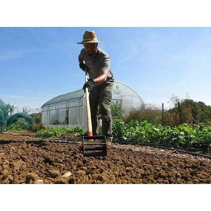 Freza ročna Mici 12  (Delovna širina: 20 cm) | 7240 - Geräte mit Stiel | IADA - Gartenhandgeräte | IAD - Gartenhandgeräte | IA - Gartenhartware | I - Stadtgarten | BAUHAUS