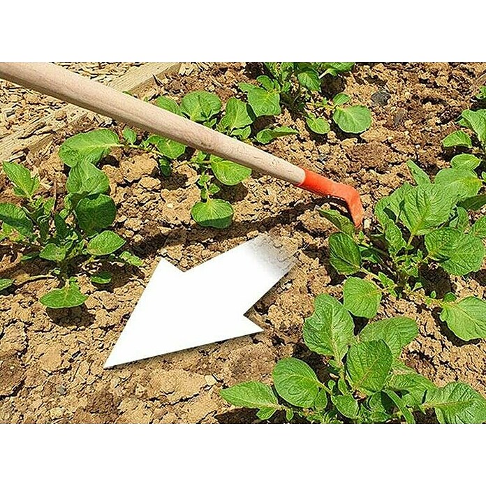 Ostra motika brez ročaja Anka  (Kovina, 12,5 cm) | 7240 - Geräte mit Stiel | IADA - Gartenhandgeräte | IAD - Gartenhandgeräte | IA - Gartenhartware | I - Stadtgarten | BAUHAUS