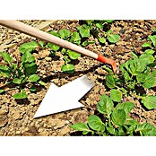 Ostra motika brez ročaja Anka  (Kovina, 12,5 cm) | 7240 - Geräte mit Stiel | IADA - Gartenhandgeräte | IAD - Gartenhandgeräte | IA - Gartenhartware | I - Stadtgarten | BAUHAUS