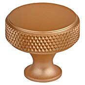 Walteco Meubelknop Dieren (Diameter: 30 mm, Aluminium, Goud) | BAUHAUS