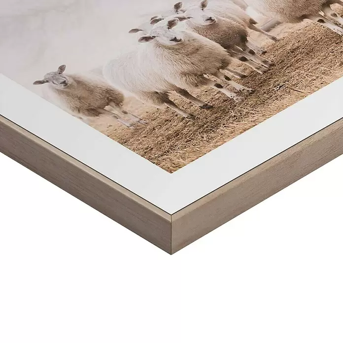 Reinders Bild Slim Frame Wood - Sheep in Field, B x H: 30 x 40 cm - Schrägansicht eines gerahmten Bildes mit Schafen auf einem Feld, hellem Holzrahmen und weißem Passepartout.