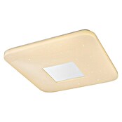 Globo LED stropna svjetiljka  (24 W, D x Š x V: 43,5 x 43,5 x 6,5 cm, Bijele boje, Topla bijela) | BAUHAUS