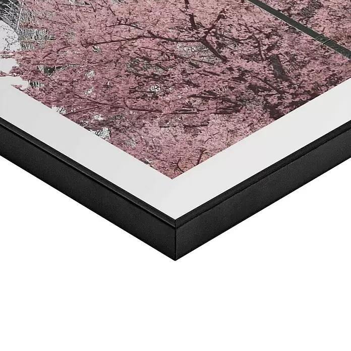 Reinders Bild Slim Frame Black - Spring in Paris, B x H: 50 x 70 cm - Schwarzer Bilderrahmen mit weißem Passepartout, der rosa Kirschblüten zeigt.