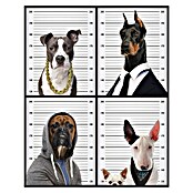 Decoratief paneel (Most Wanted Dogs, b x h: 40 x 50 cm) | BAUHAUS