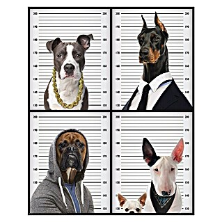 Decoratief paneel (Most Wanted Dogs, b x h: 40 x 50 cm)