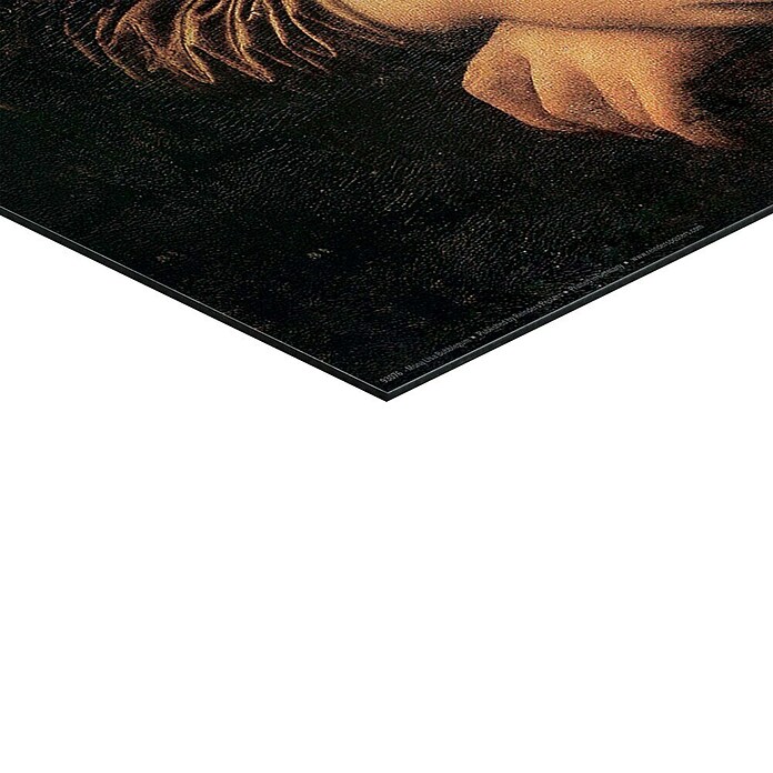 Reinders Decopanel (Mona Lisa Bubblegum, B x H: 40 x 50 cm) | BAUHAUS