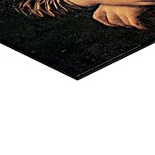 Reinders Decopanel (Mona Lisa Bubblegum, B x H: 40 x 50 cm) | BAUHAUS