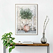 Reinders Bild Slim Frame Wood (Olive Tree, B x H: 50 x 70 cm) | BAUHAUS