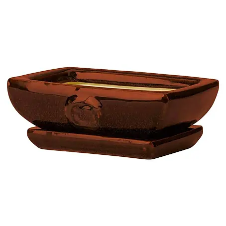 Macetero para plantas Bonsai