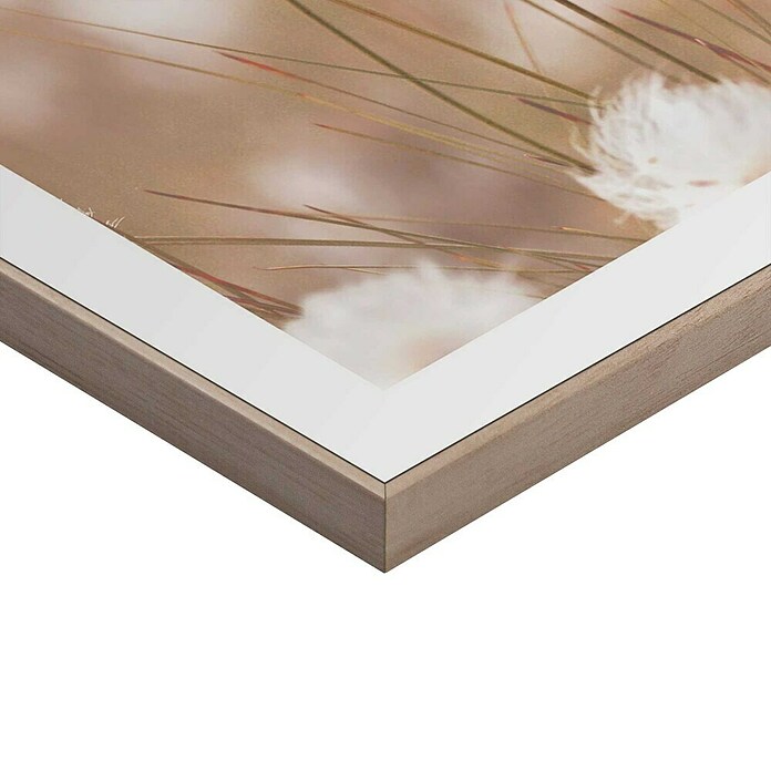 Reinders Bild Slim Frame Wood (Cotton Pops, B x H: 30 x 40 cm) | BAUHAUS